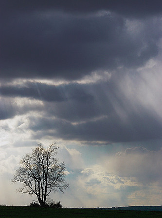 Alone in the Light of the Storm