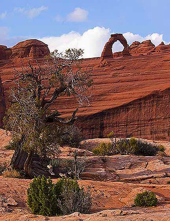 Pointing the Way to Delicate Arch