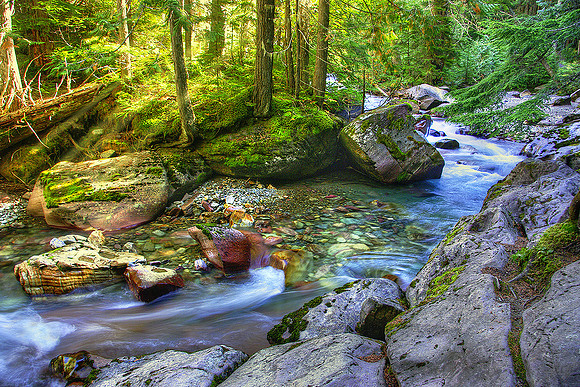 Early Morning Along Avalanche Creek