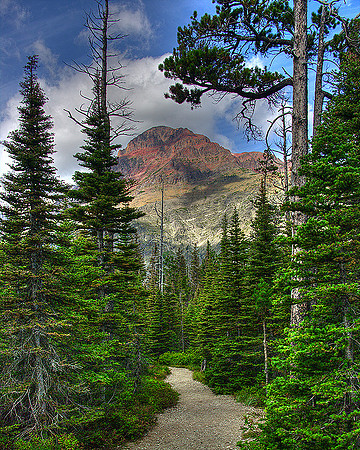 Rising Wolf Mountain from Mount Henry Trail, Glacier National Park