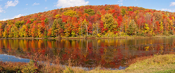 Reflections of an Autumn Hillside - Panorama