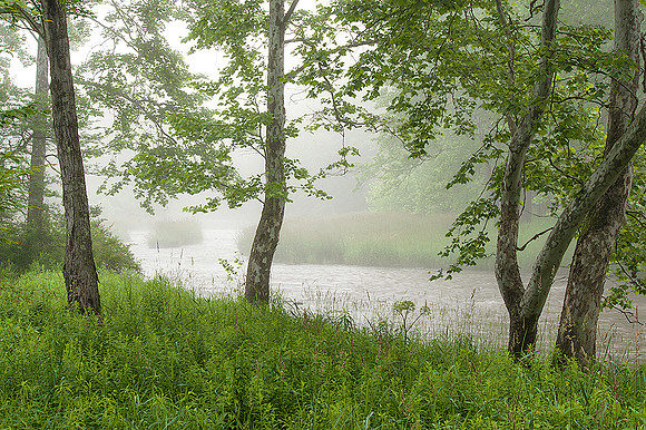 Foggy Morning Along the Sinnemahoning Creek