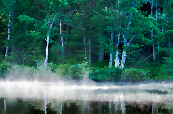 Fish Creek Shoreline No. 1