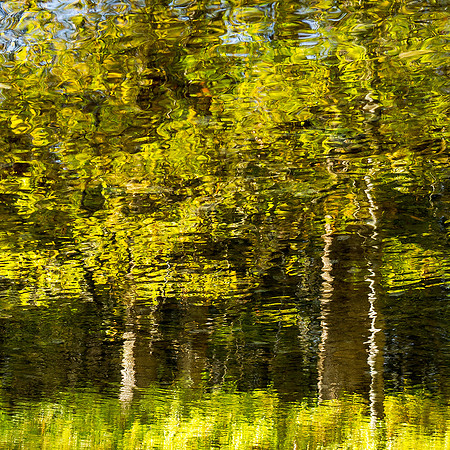 Dancing Shoreline Reflection No. 1